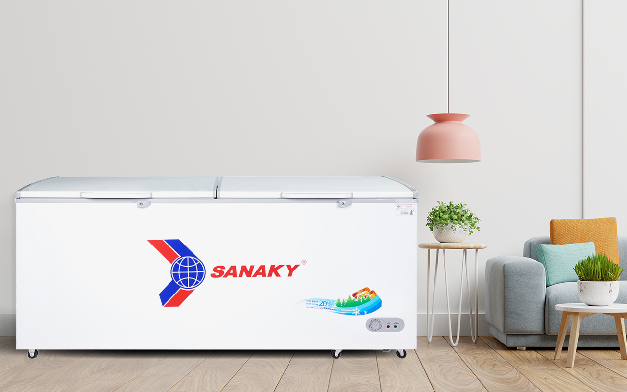 Tủ Đông Sanaky VH-5699HY