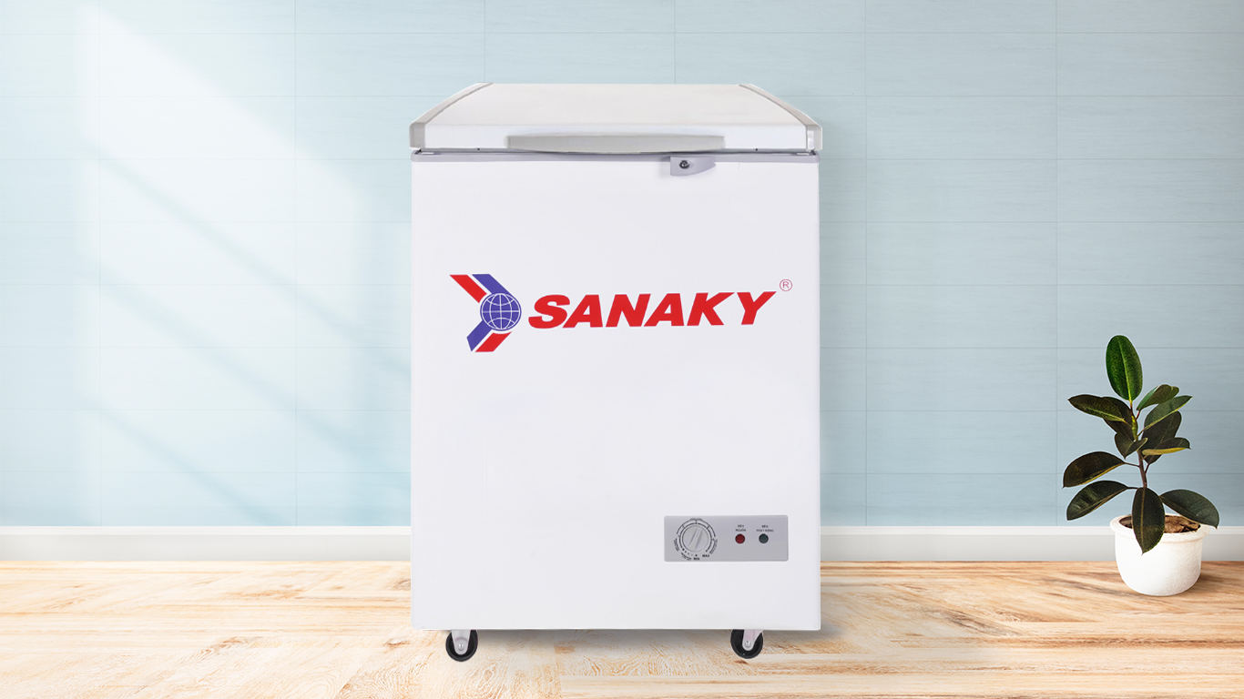 Tủ Đông Sanaky VH-150HY2