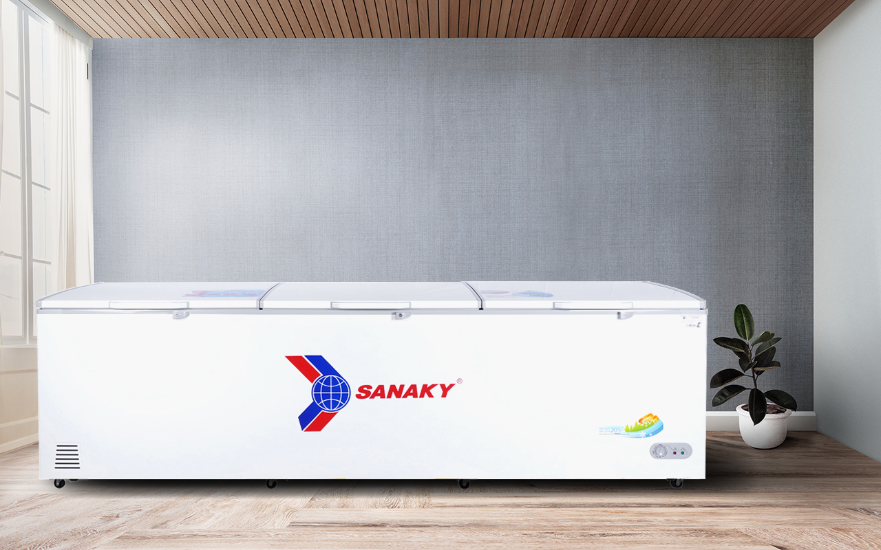 Tủ Đông Sanaky VH-1199HY