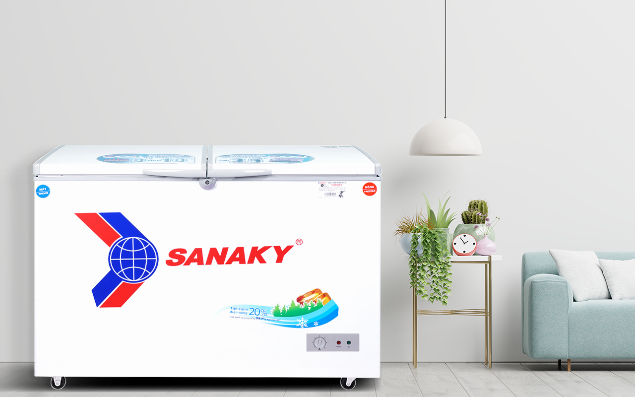 Tủ Đông Sanaky VH-4099W1