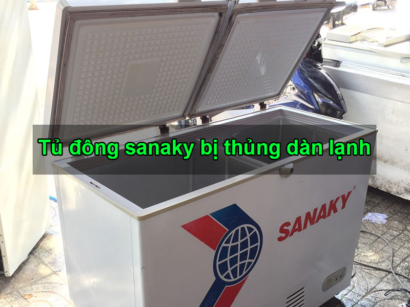 tu-dong-sanaky-bi-thung-dan-lanh
