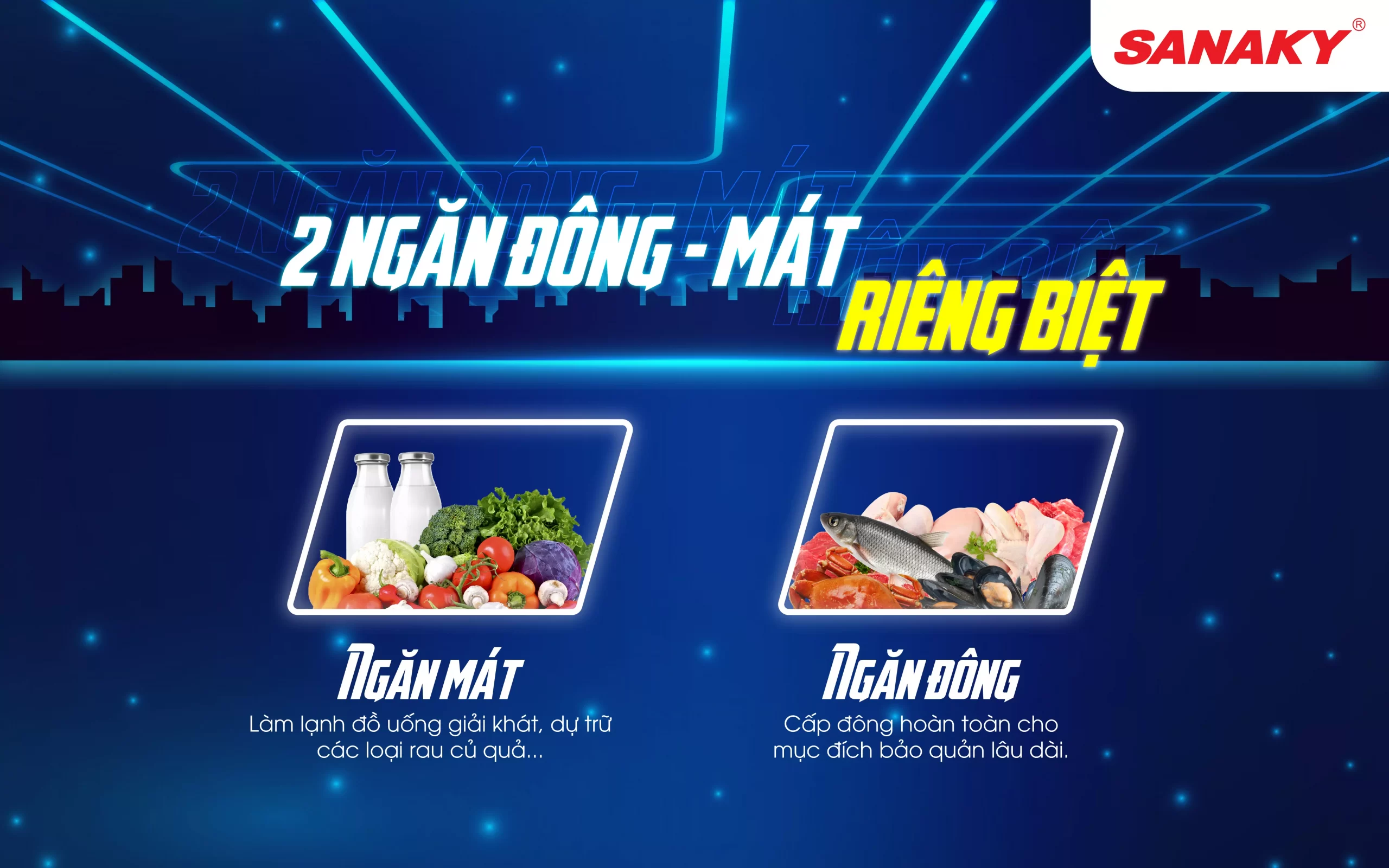 Tủ đông Sanaky VH-5699W2K