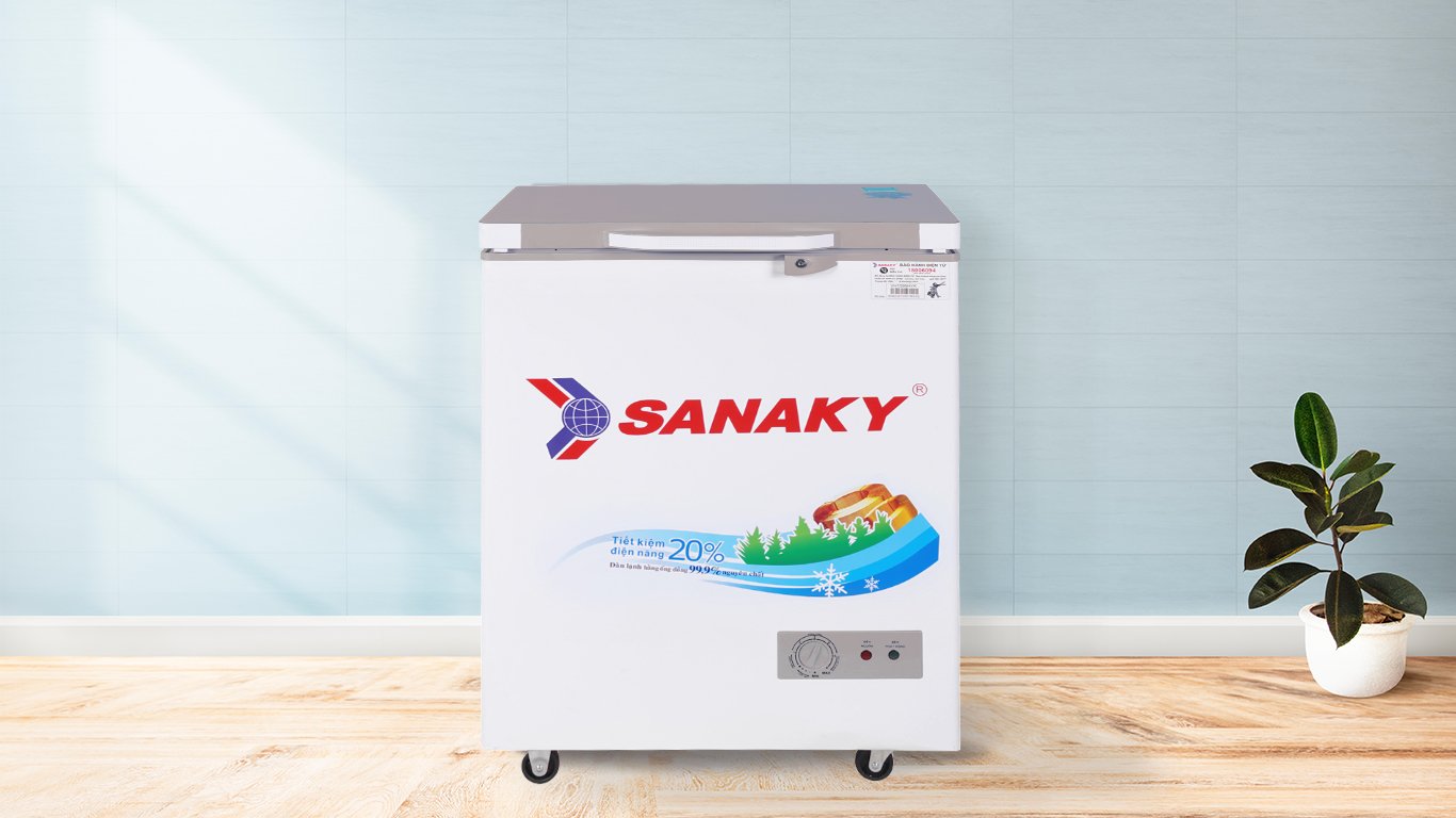 Tủ Đông Sanaky VH-2599A3