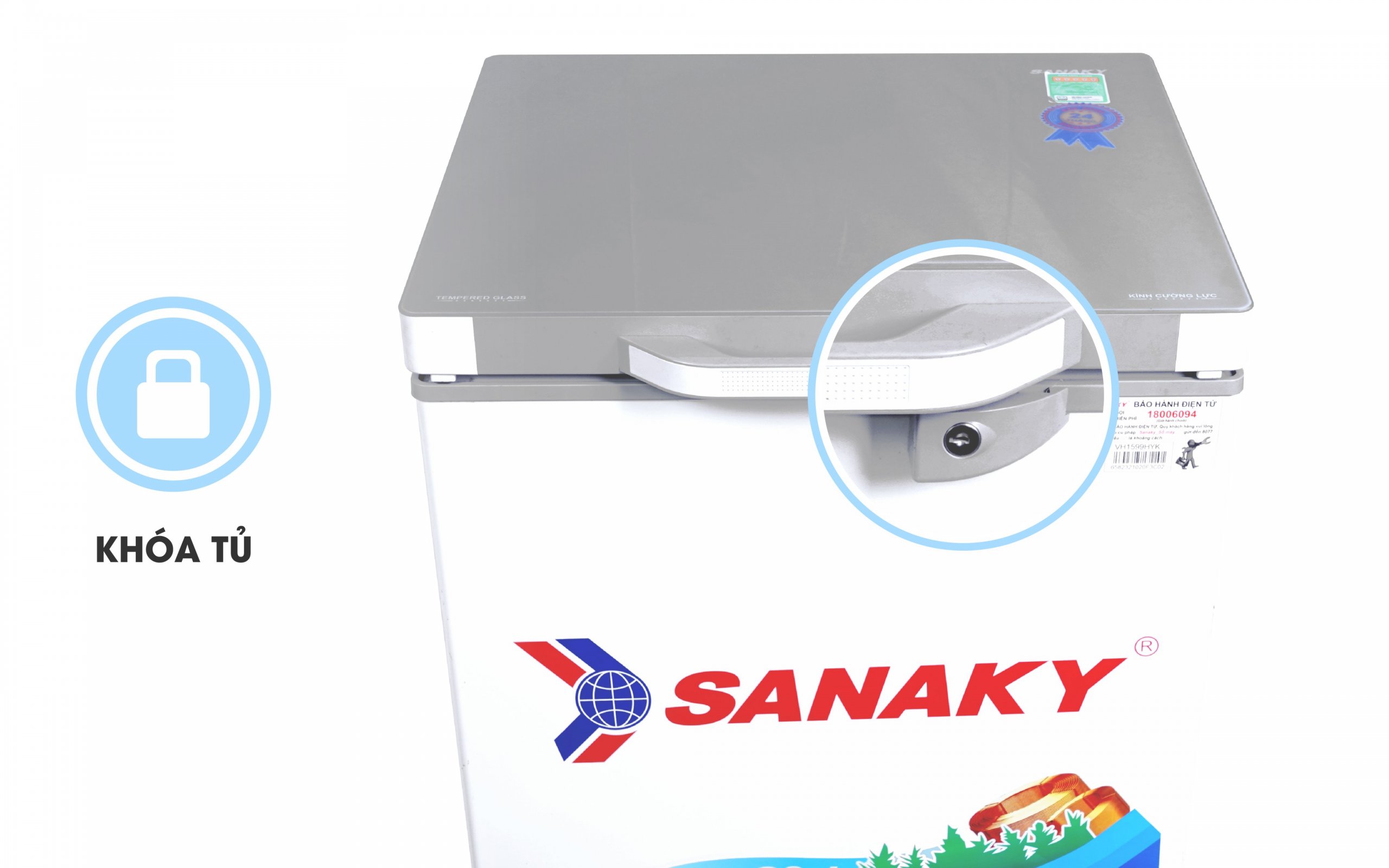 Tủ Đông Sanaky VH-2599A3