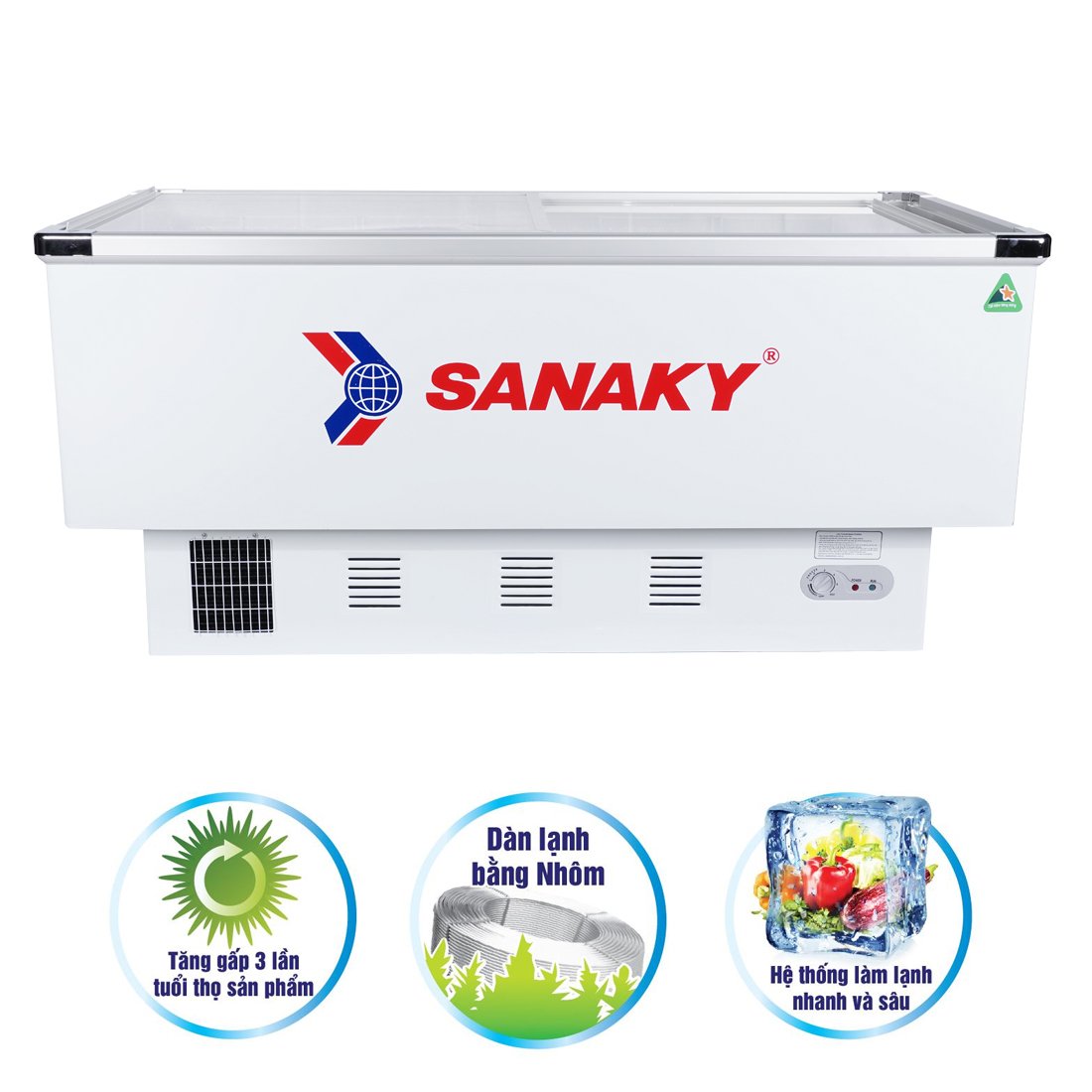 Tủ Đông Sanaky VH-999K